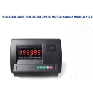 INDICADOR INDUSTRIAL YAOHUA A12-E